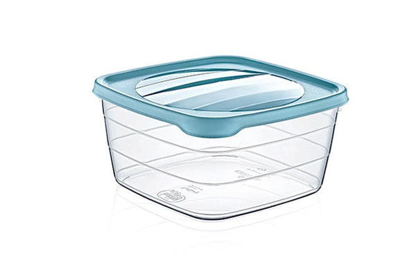Multipurpose Plastic BPA Free Storage Box Organizer 2.50 litre 21*21*8.5 cm HB021033 Pcs/Ctn 60