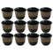 Ceramic Coffee Cawa Shafee Cup Set of 12 Pcs Abstract Design 6.5*5 cm 75 ml (Ctn Box 24 units)
