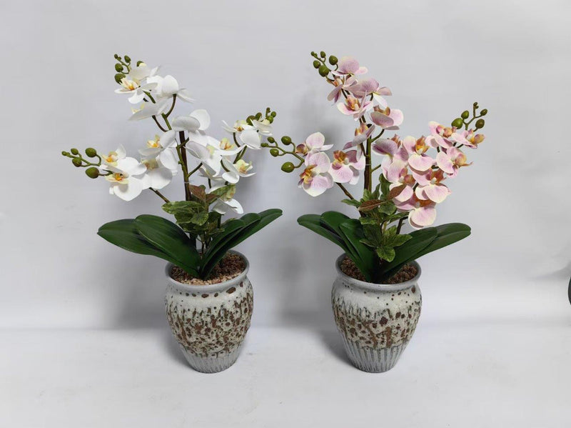 Realistic Touch Artificial Plant Flower Pot Home Interior Deco (Ctn Box 24 units)