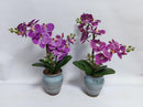 Realistic Touch Artificial Plant Flower Pot Home Interior Deco (Ctn Box 24 units)