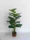 Realistic Touch Artificial Plant Flower Pot Home Interior Deco (Ctn Box 6 units)