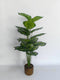 Realistic Touch Artificial Plant Flower Pot Home Interior Deco (Ctn Box 6 units)
