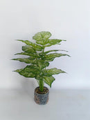 Realistic Touch Artificial Plant Flower Pot Home Interior Deco (Ctn Box 12 units)