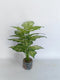 Realistic Touch Artificial Plant Flower Pot Home Interior Deco (Ctn Box 12 units)