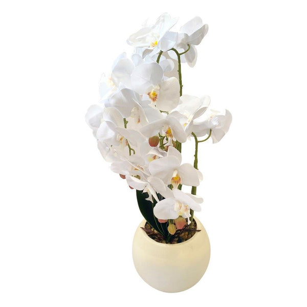 Realistic Touch Artificial Orchid Flower Deco Pot  60 cm (Ctn Box 6 units)