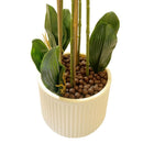 Realistic Touch Artificial Orchid Flower Deco Pot  75 cm (Ctn Box 6 units)