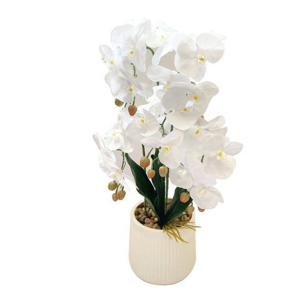 Realistic Touch Artificial Orchid Flower Deco Pot  65 cm (Ctn Box 6 units)