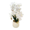 Realistic Touch Artificial Orchid Flower Deco Pot  65 cm (Ctn Box 6 units)