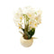 Realistic Touch Artificial Orchid Flower Deco Pot  50 cm (Ctn Box 6 units)