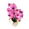 Realistic Touch Artificial Plant Flower Pot Home Interior Deco 50 cm (Ctn Box 20 units)