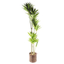 Realistic Touch Artificial Plant Flower Pot Home Interior Deco 130 cm (Ctn Box 6 units)