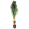 Realistic Touch Artificial Plant Flower Pot Home Interior Deco 120 cm (Ctn Box 6 units)