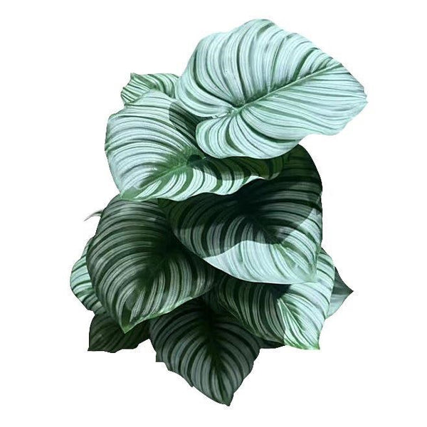 Realistic Touch Artificial Plant Flower Pot Home Interior Deco 70 cm (Ctn Box 12 units)