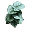 Realistic Touch Artificial Plant Flower Pot Home Interior Deco 70 cm (Ctn Box 12 units)