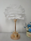 Home Decor Bedside Desktop Table Lamp Metal Base Feather Shade  30*44 cm (Ctn Box 12 units)