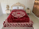 Super Soft Fluffy Warm Double Layer Queen Blanket 200*240 cm (Ctn Box 8 units)