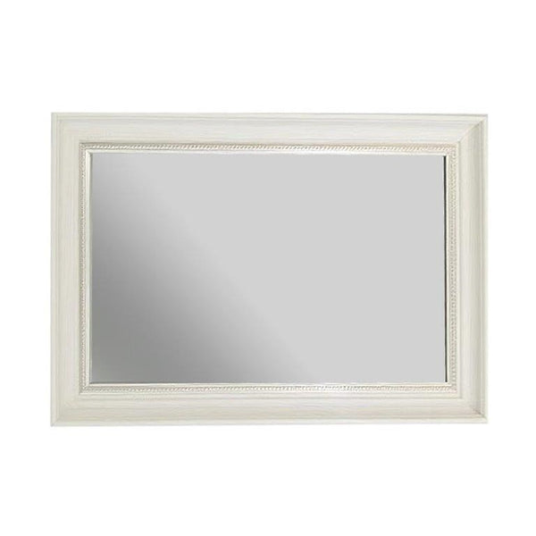 Decorative Glass Rectangular Wall Mirror 50*100 cm (Ctn Box 6 units)