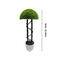 Realistic Touch Artificial Plant Flower Pot Home Interior Deco 80 cm around  (Ctn Box 2 units)