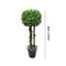 Realistic Touch Artificial Plant Flower Pot Home Interior Deco 80 cmic  (Ctn Box 2 units)
