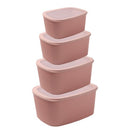 Plastic Airtight Food Container Set/4 Pcs 22.5*29.5*13 cm