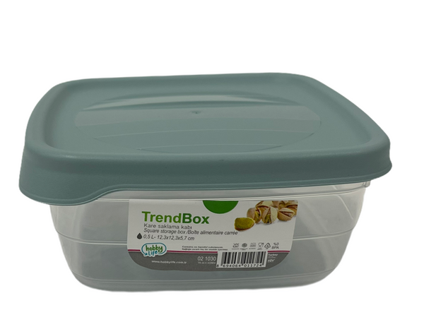 Square Trend BPA Free Multipurpose Airtight Storage Box Food Container 0.5 Litre HB021030 60 Pcs/Ctn