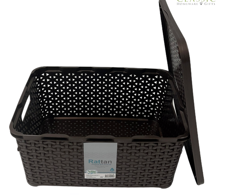 Rattan Multipurpose Modern Design Storage Organizer Box with Lid 10 Litre HB041256 12 Pcs/Ctn
