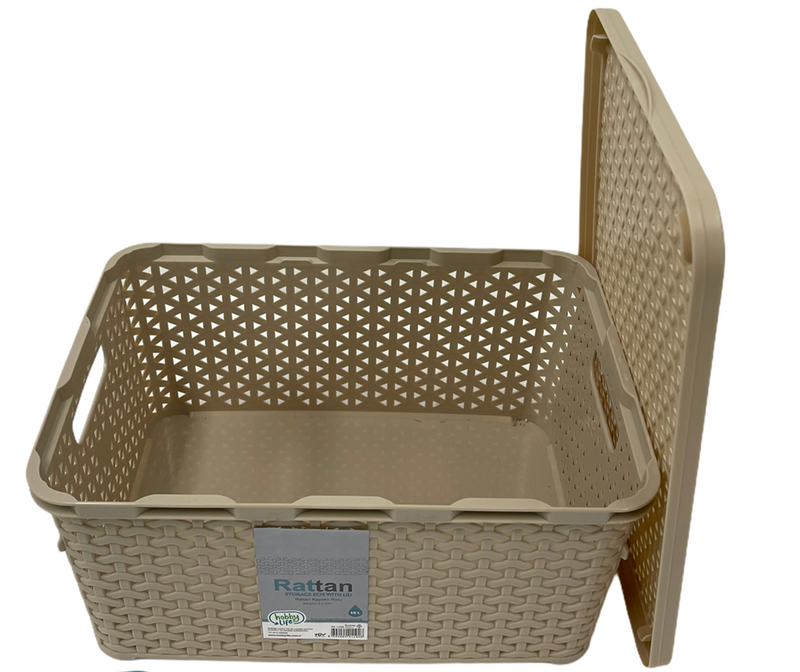 Rattan Multipurpose Modern Design Storage Organizer Box with Lid 10 Litre HB041256 12 Pcs/Ctn