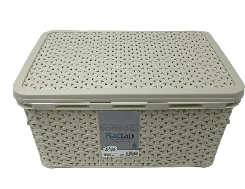Rattan Multipurpose Modern Design Storage Organizer Box with Lid 10 Litre HB041256 12 Pcs/Ctn