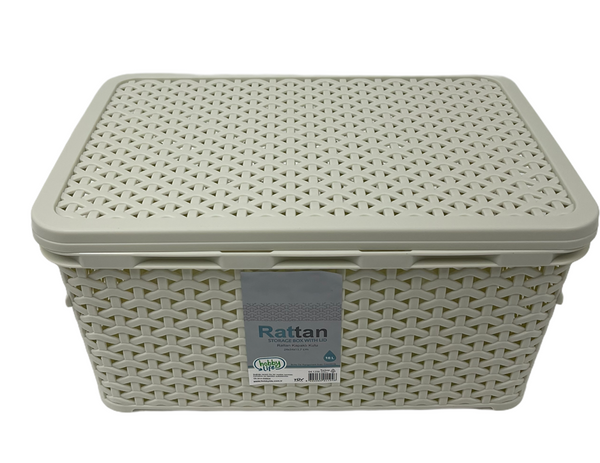 Rattan Multipurpose Modern Design Storage Organizer Box with Lid 10 Litre HB041256 12 Pcs/Ctn