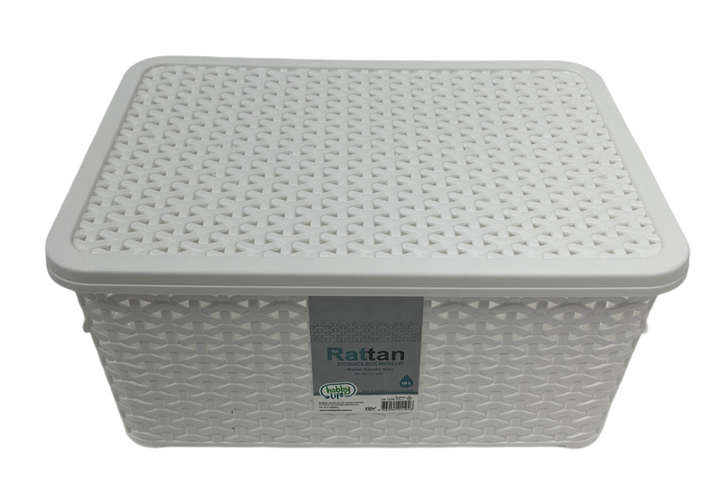 Rattan Multipurpose Modern Design Storage Organizer Box with Lid 10 Litre HB041256 12 Pcs/Ctn