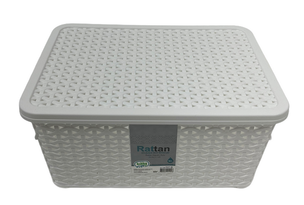 Rattan Multipurpose Modern Design Storage Organizer Box with Lid 10 Litre HB041256 12 Pcs/Ctn
