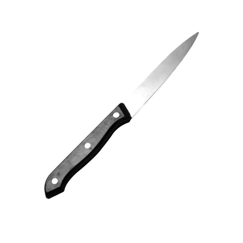 Stainless Steel Kitchen Fruit Knives Set of 6 21 cm
