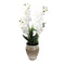 Realistic Touch Artificial Orchid Flower Deco Pot Abstract Print 16*18 cm 
 (Ctn Box 24 units)
