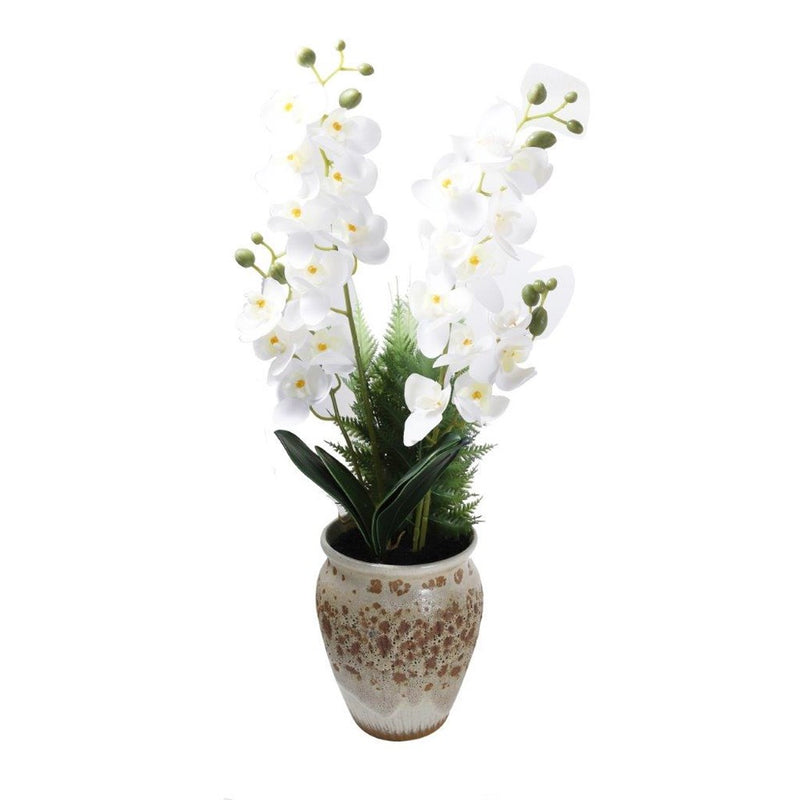 Realistic Touch Artificial Orchid Flower Deco Pot Abstract Print 16*18 cm 
 (Ctn Box 24 units)