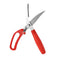 Chicken Fish Vegetables Scissor
