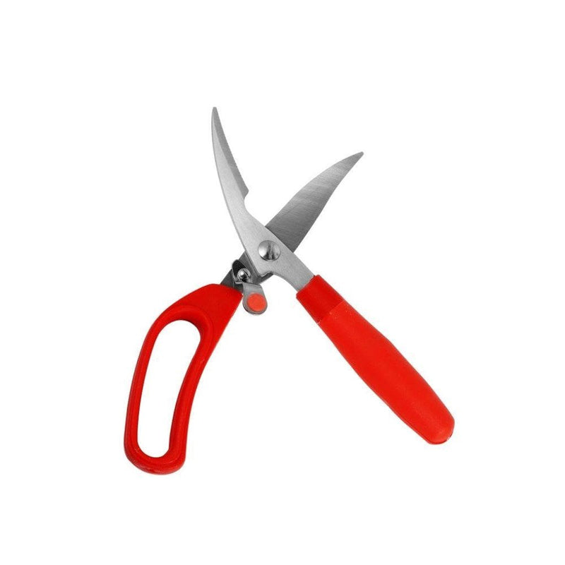 Chicken Fish Vegetables Scissor